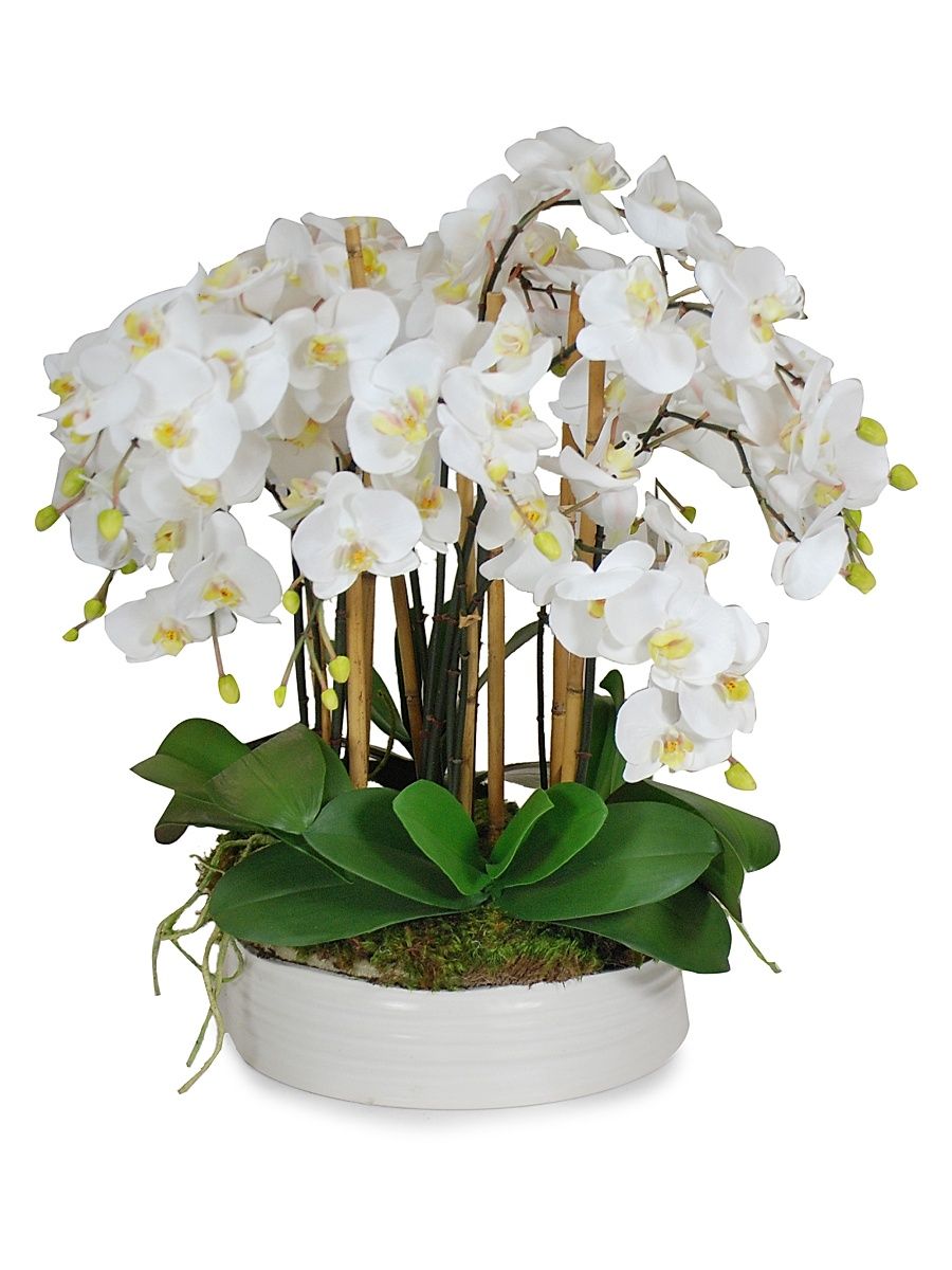 Everyday Floral Imitation Orchids In Coil Ceramic Bowl
