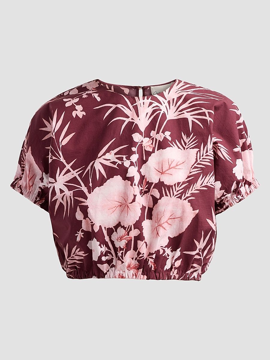 Women's Bari Printed Poplin Crop Top - Paradise Blush - Size XL