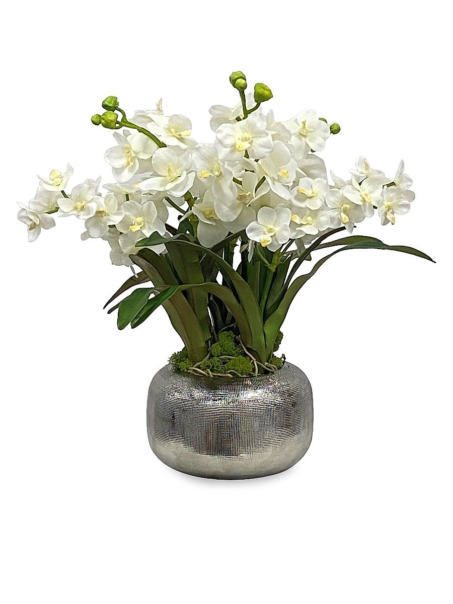 Imitation Vanda Orchid In Pot