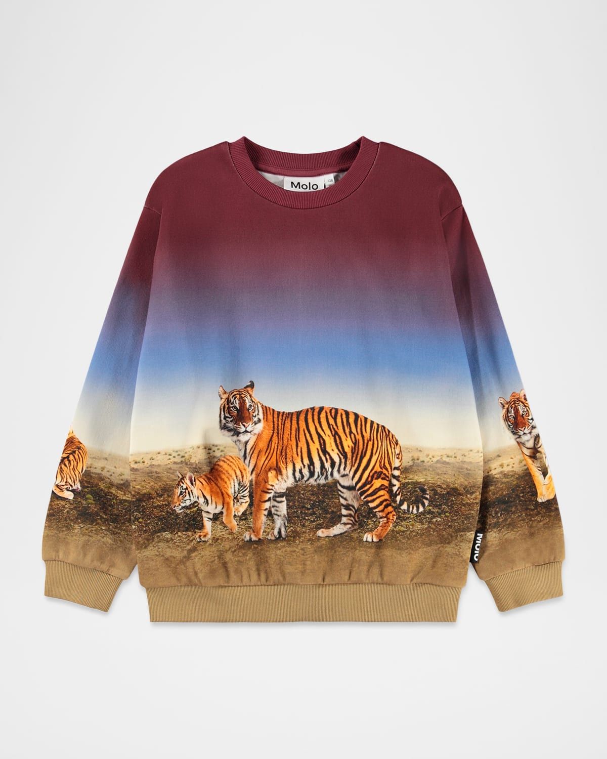 Boy & apos;s Miksi Tiger-Print Organic Cotton Sweatshirt, Size 3-7