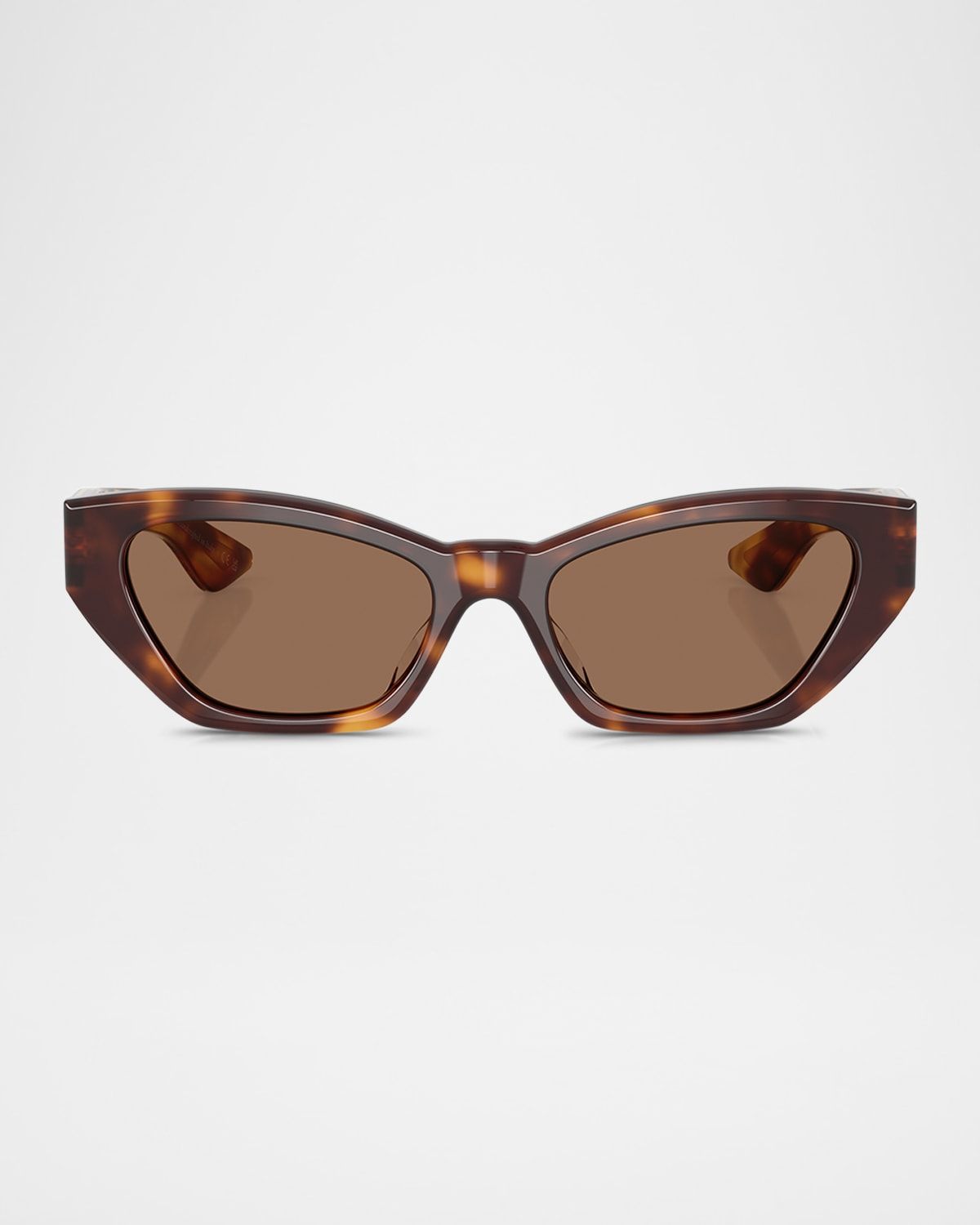 1961C Acetate Cat-Eye Sunglasses