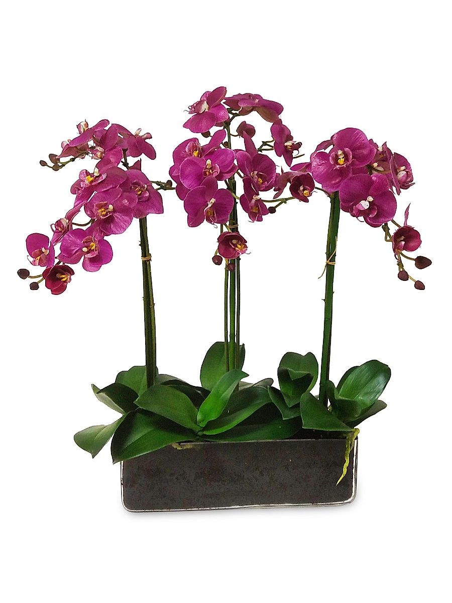 Faux Orchid Phalaenopsis Floral Arrangement - Fuchsia