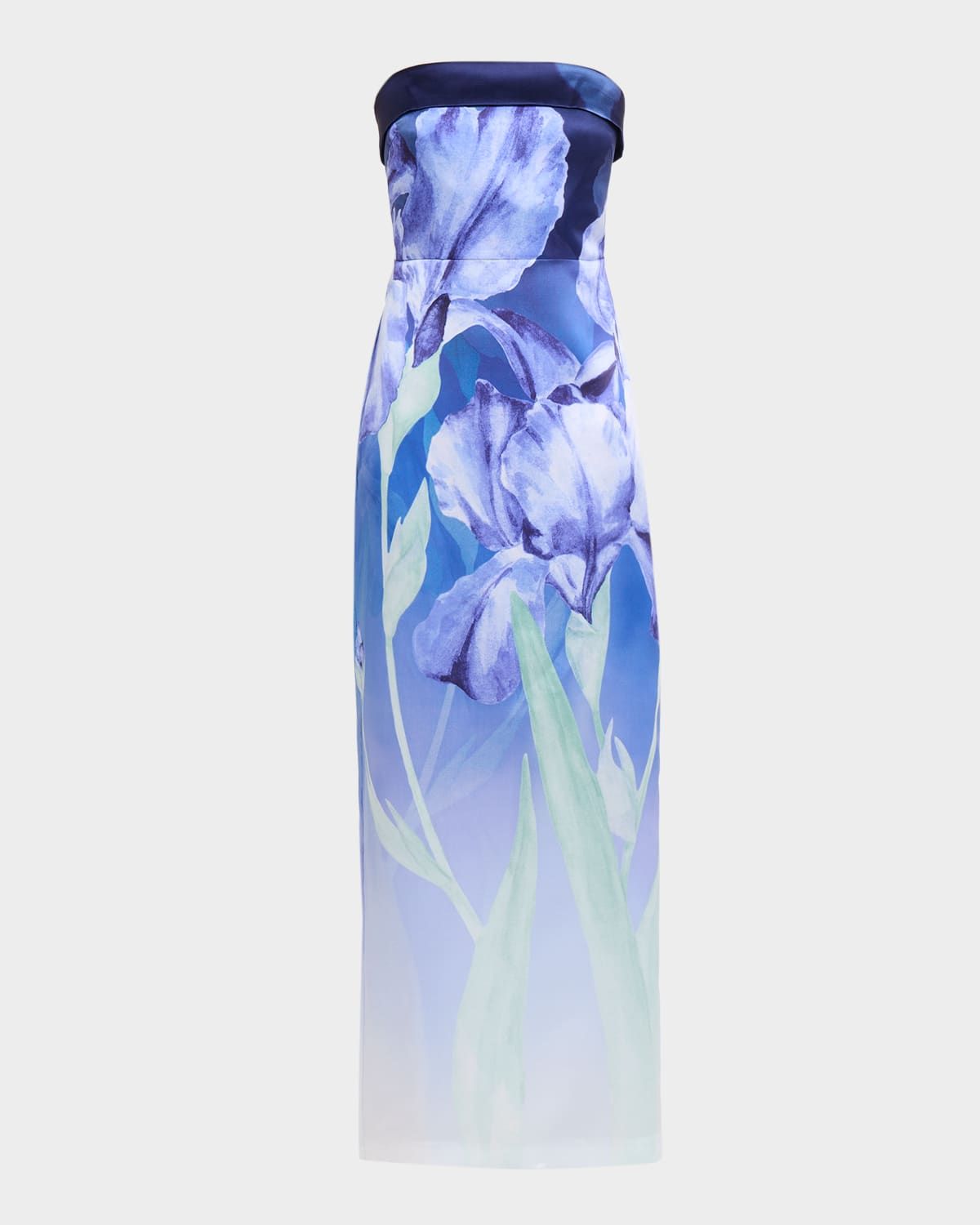 Cyrilla Ombre Floral-Print Column Gown