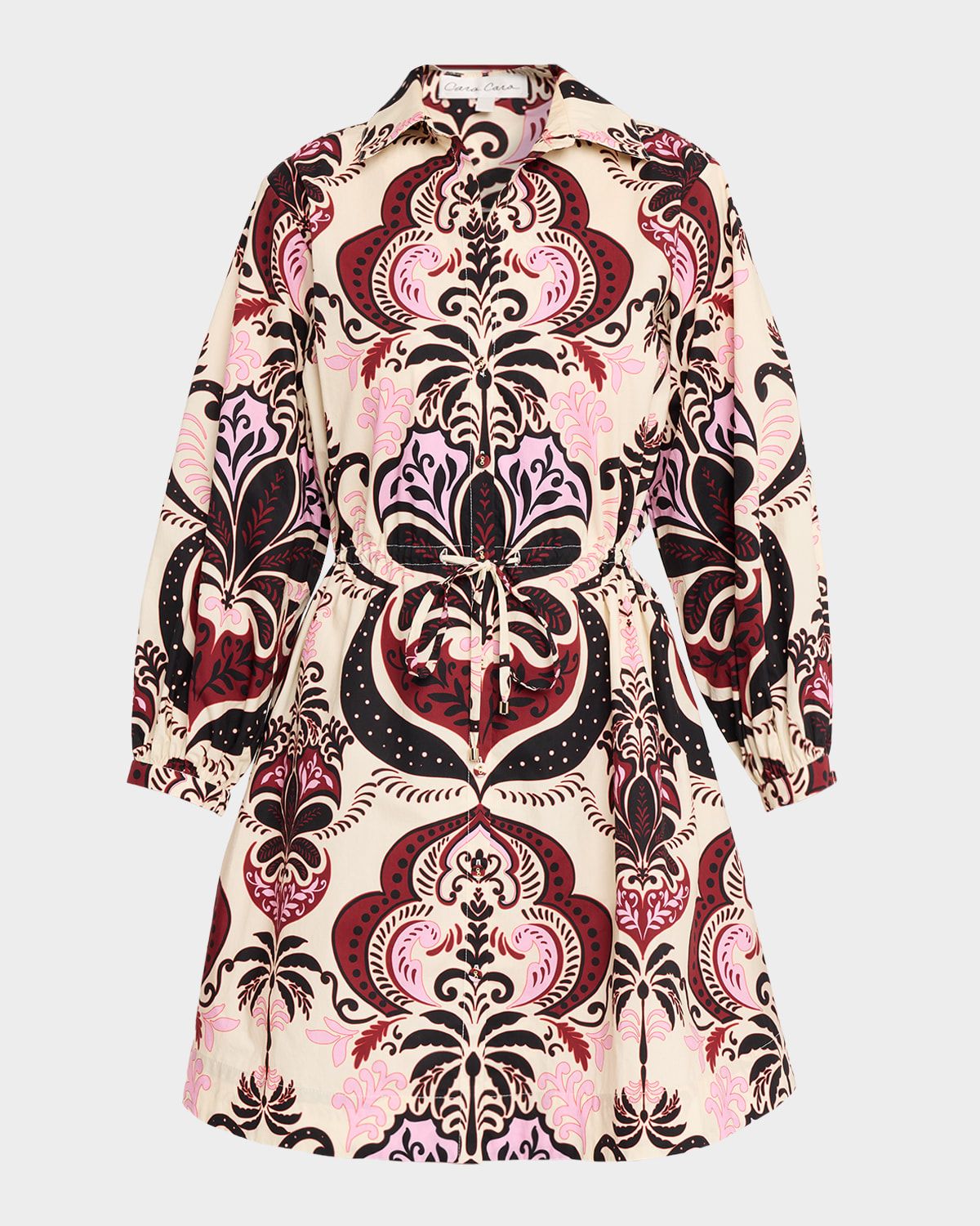 Henry Long-Sleeve Printed Maxi Dress