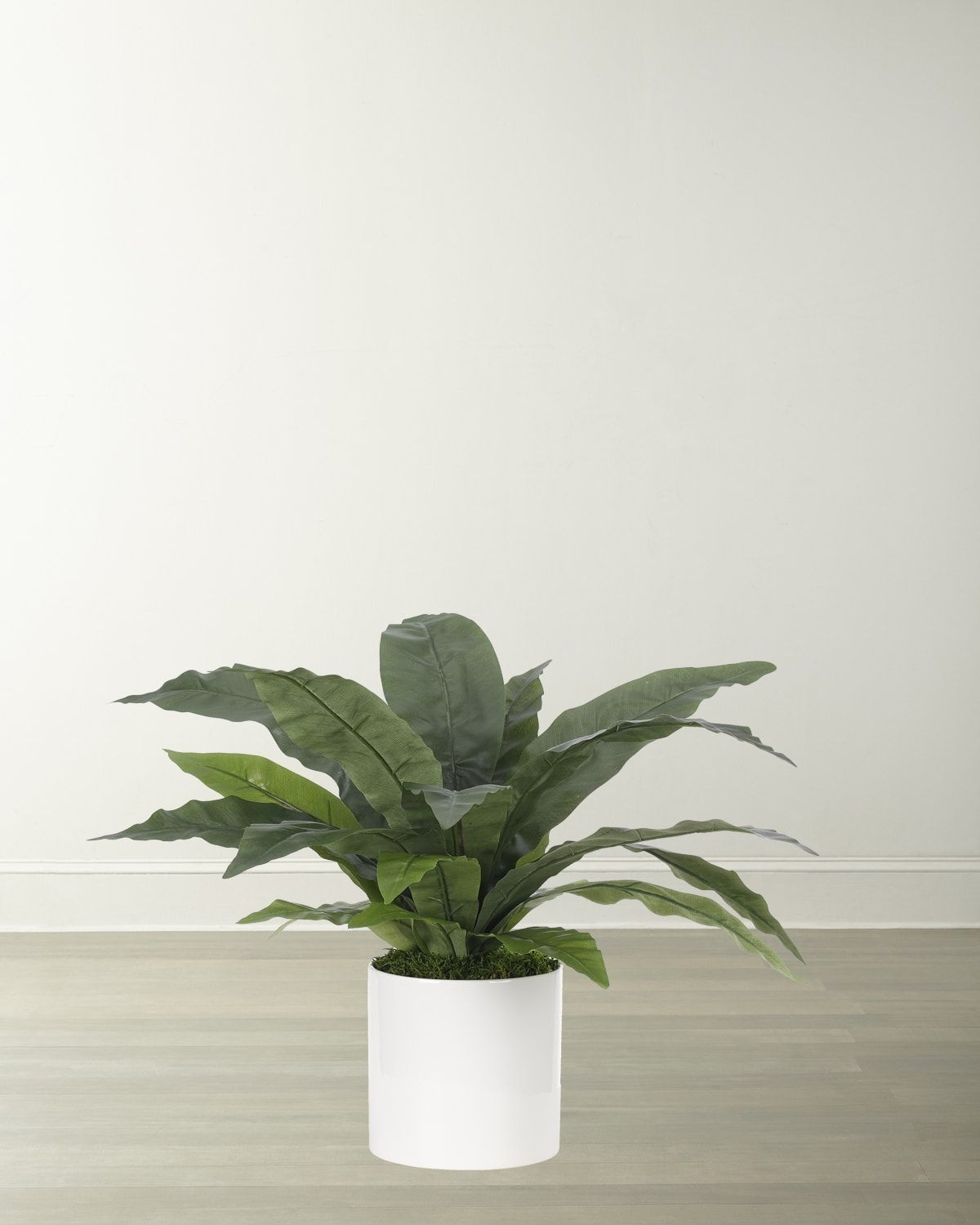 Faux Bird Nest Fern Plant in White Ceramic Planter