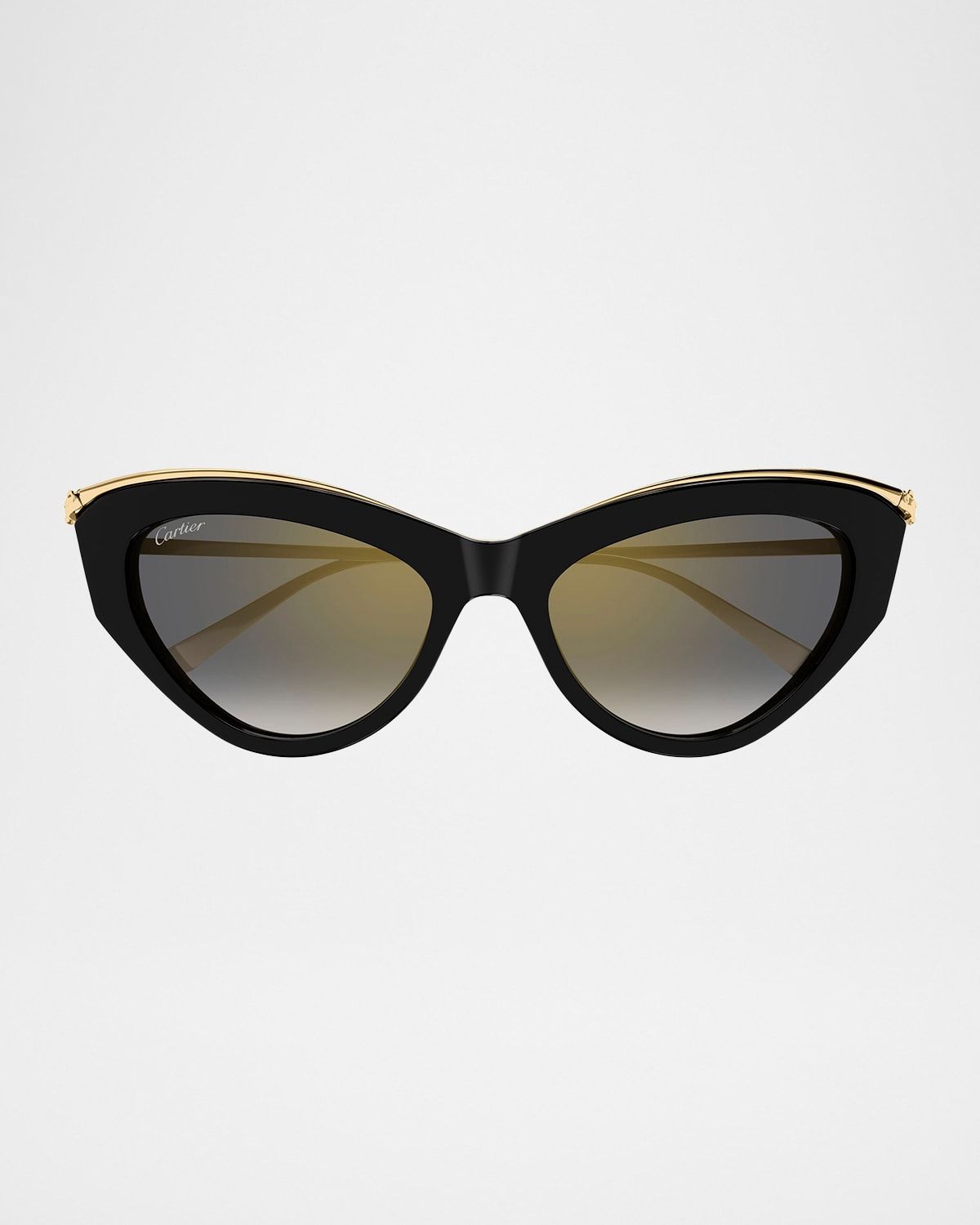 Panthere Acetate & Metal Cat-Eye Sunglasses
