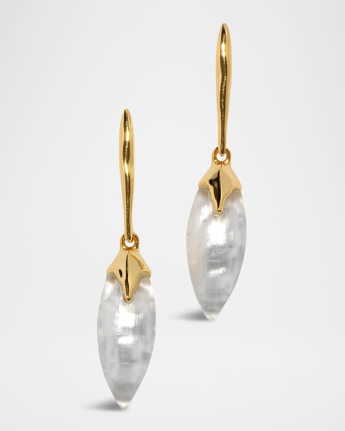 Luminous Lucite Shield Drop Earrings