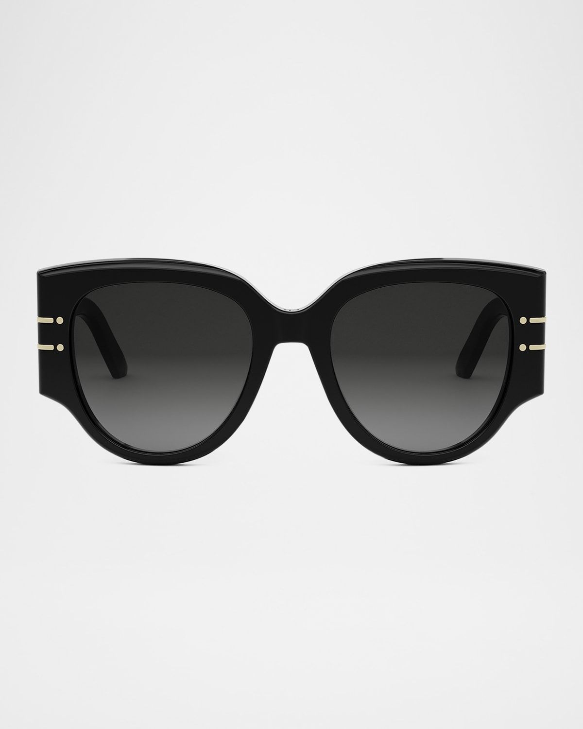 DiorSignature R2I Sunglasses