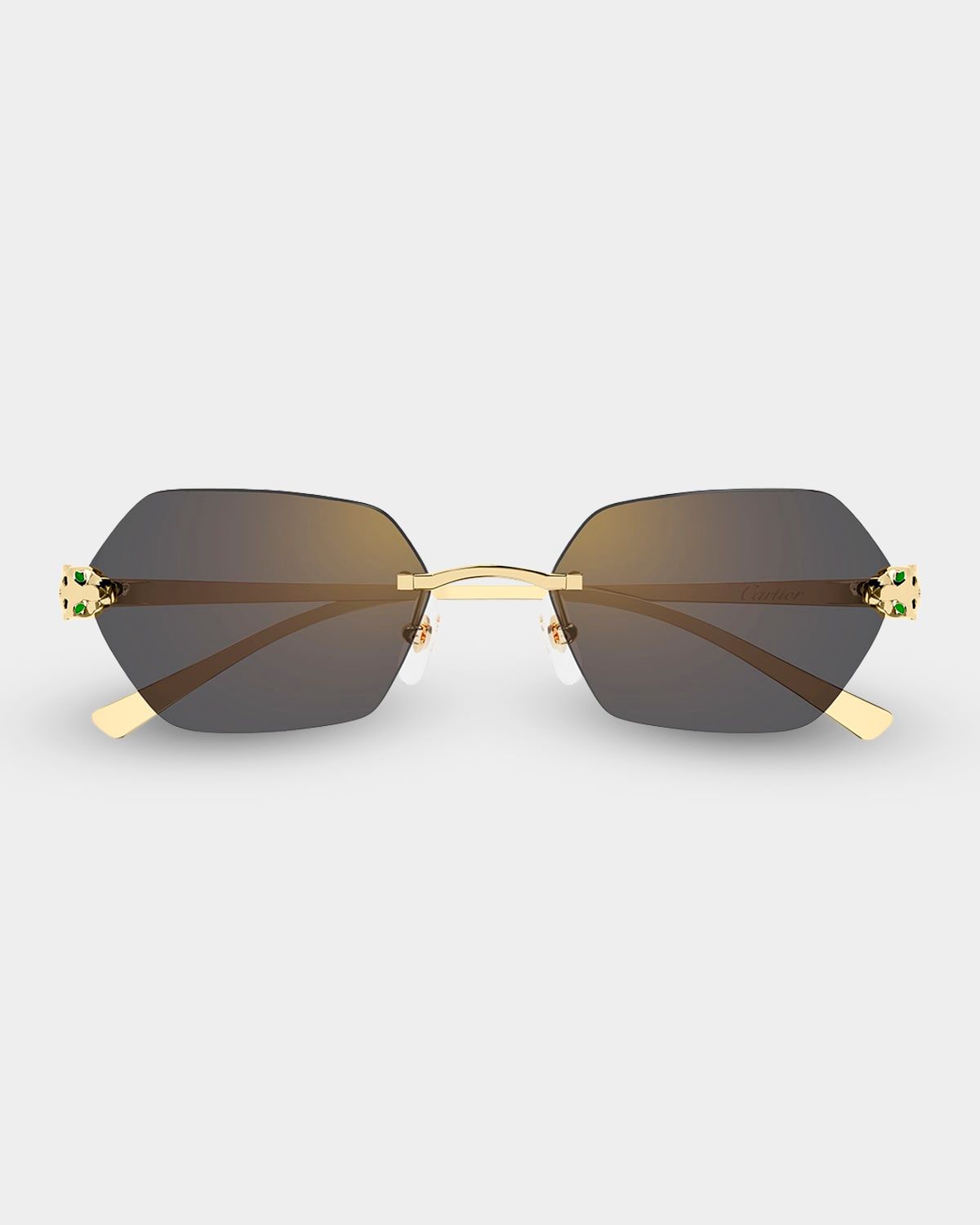 Panthère de Cartier 55mm Geometric Sunglasses