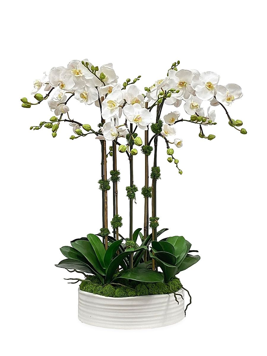 Faux Phalaenopsis Floral Arrangement - White