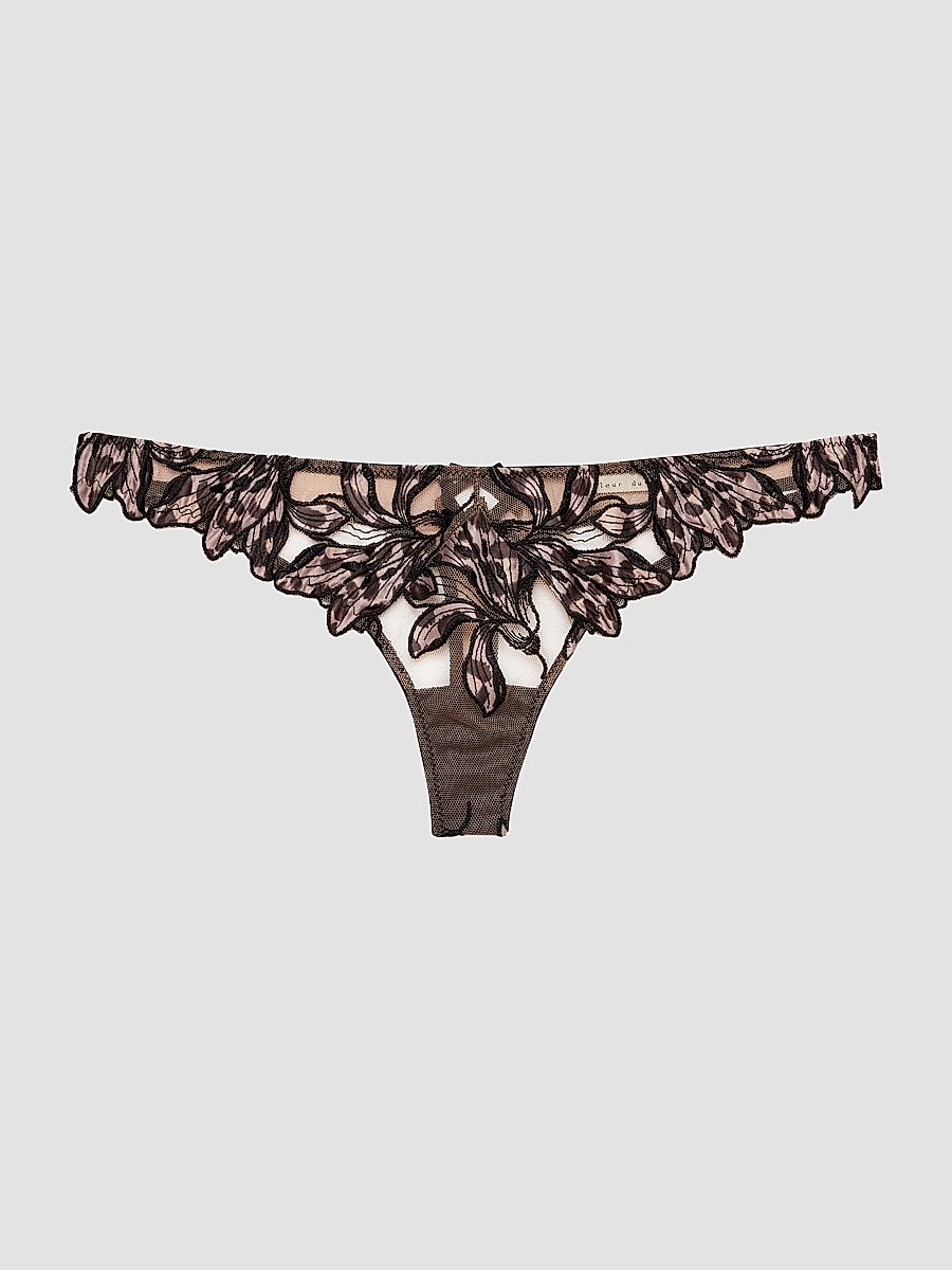 Women's Lily Embroidered Hipster Thong - Leopard Lily - Size Medium