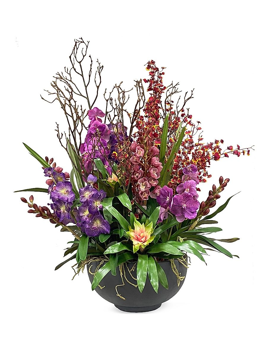 Everyday Floral Vanda Orchid Plant Arrangement