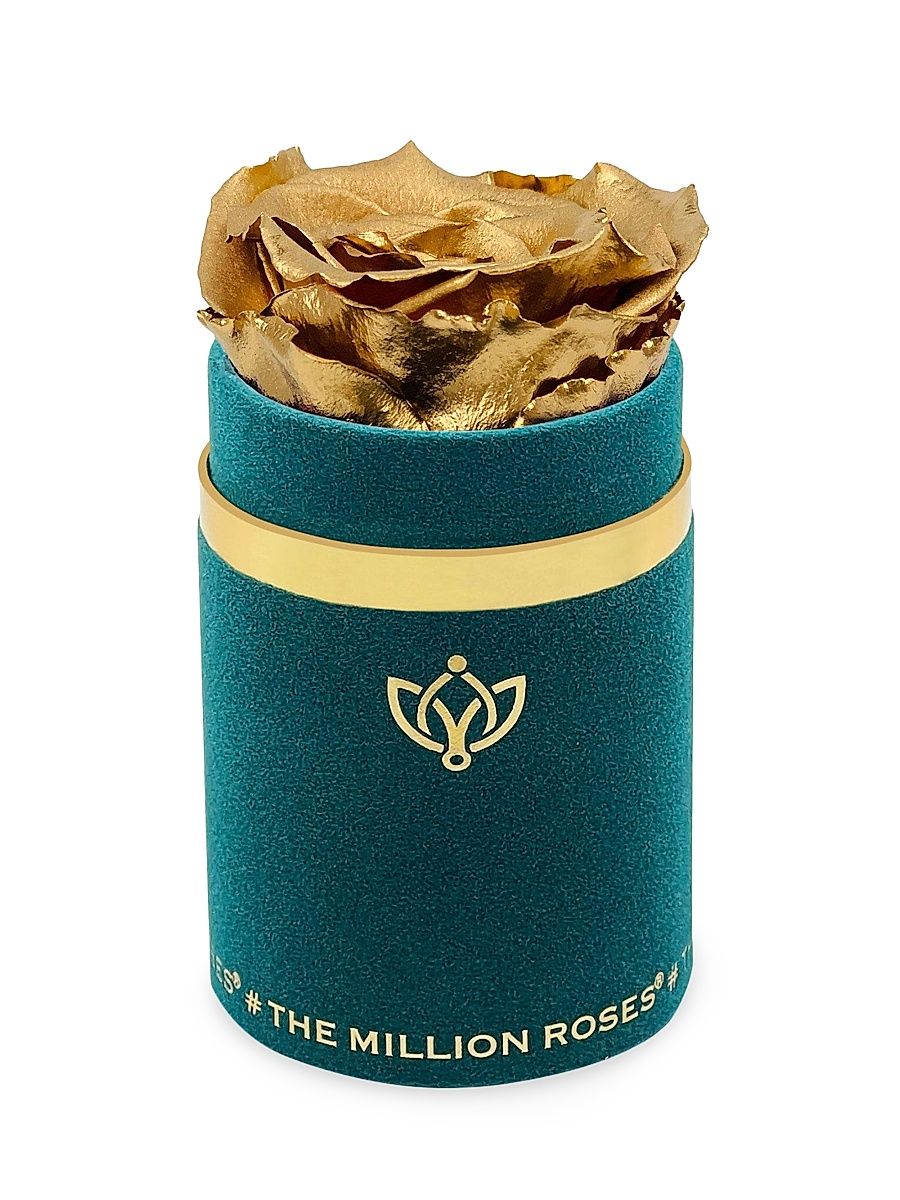 Single Rose in Suede Box - Royal Blue