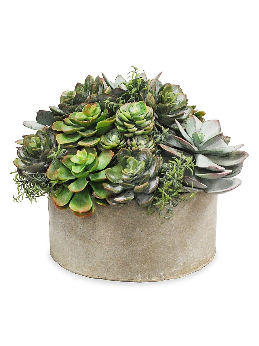 Everyday Garden Planter Mix Succulent