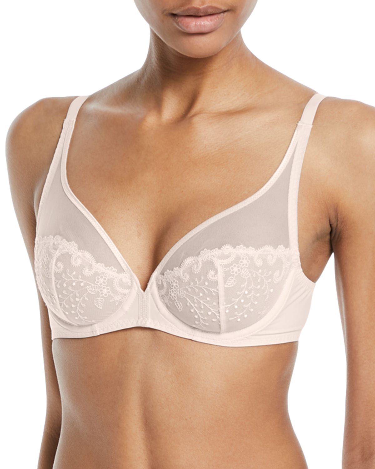 Delice Two-Part Full-Cup Sheer Plunge Bra