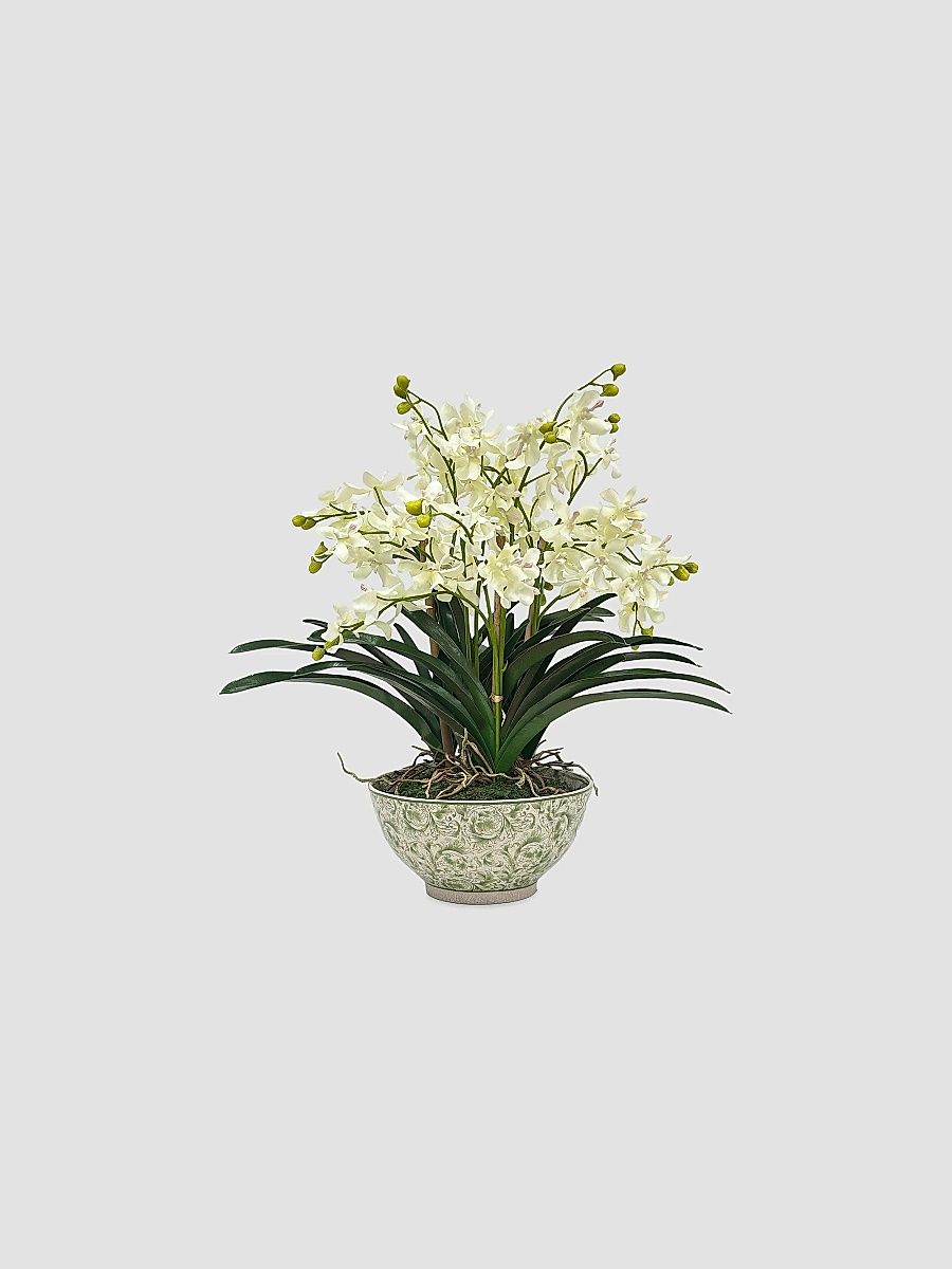 Everyday Newness Refresh Faux Vanda Orchid Arrangement - White