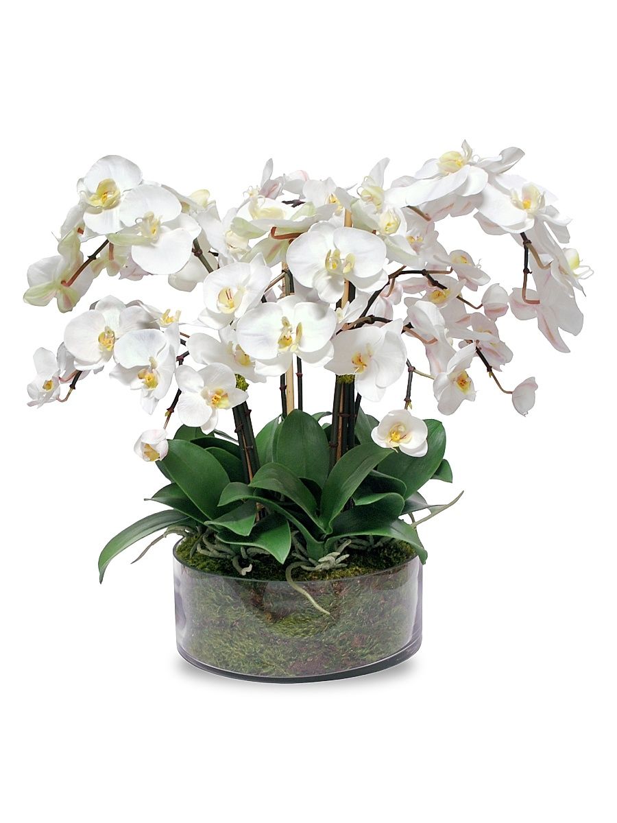 Everyday Floral Imitation Phalaenopsis In Ceramic Vase