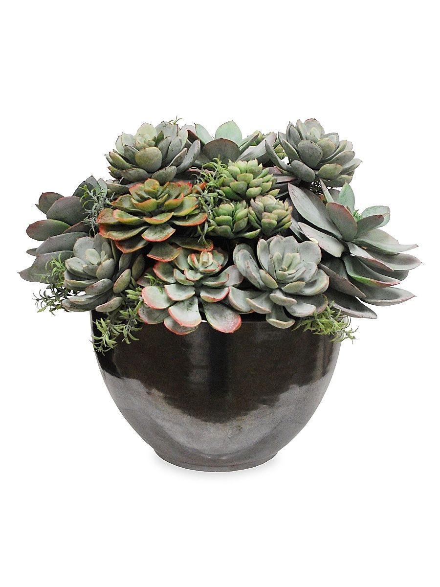 Imitation Mix Succulent In Crete Bowl