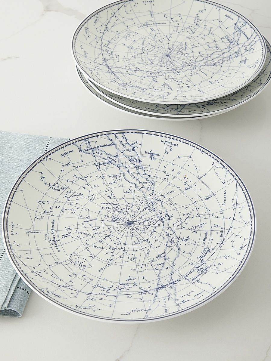Constellation 11-Piece Dinner Plate Set - White Blue