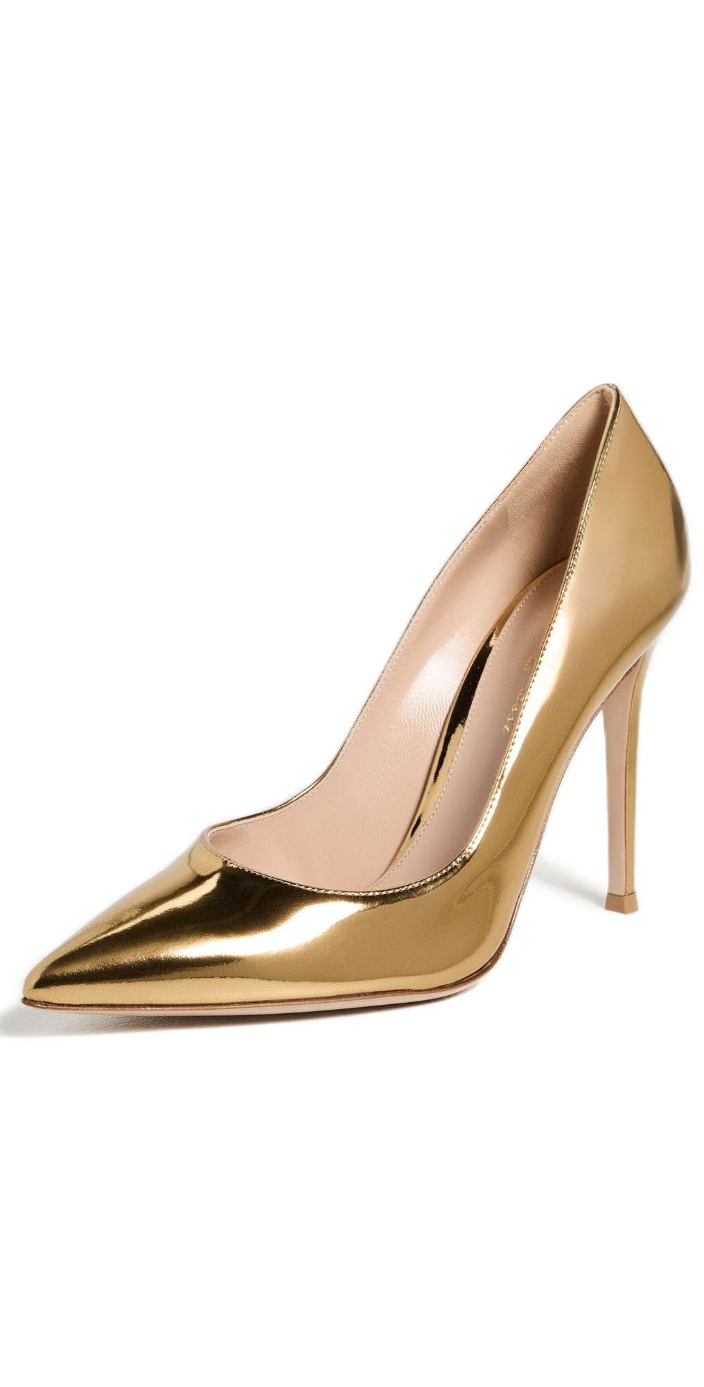 Gianvito Rossi Gianvito Metal Pumps 105mm Mekong 38