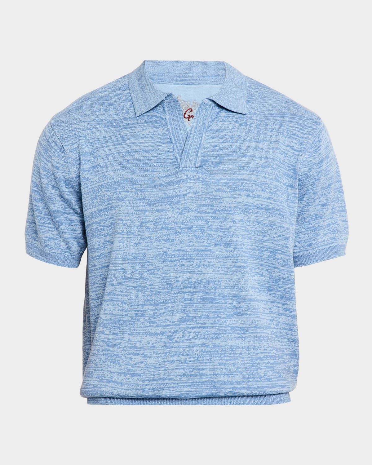 Men & apos;s Raydon Johnny Collar Polo Sweater