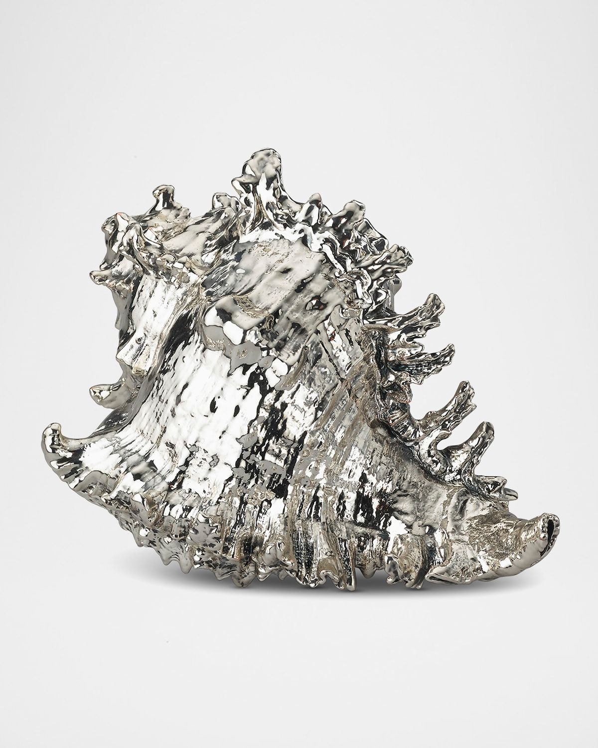 Murex Ramosus Large Shell Decorative Accent