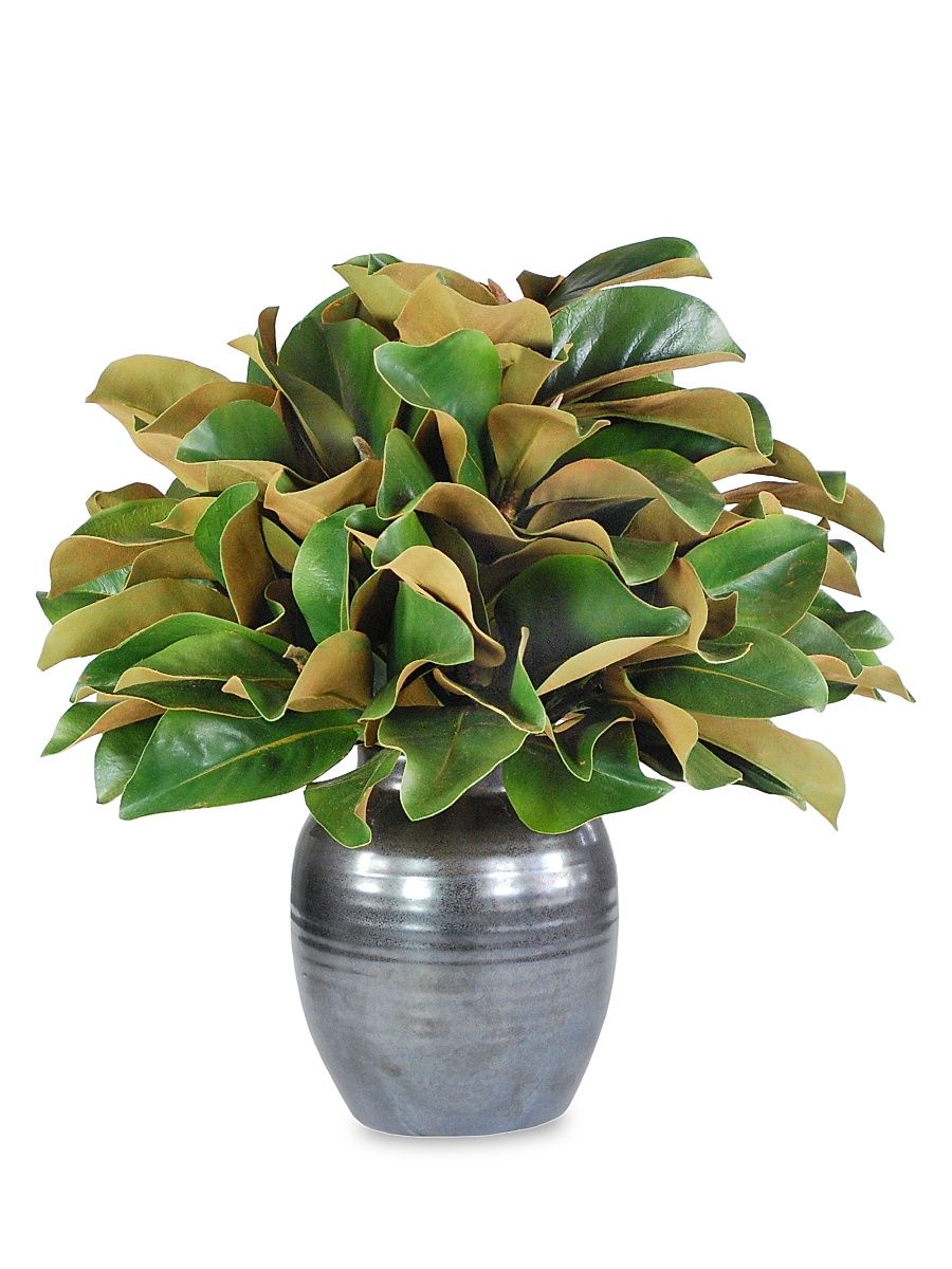 Everyday Floral Imitation Magnolia In Crete Pot