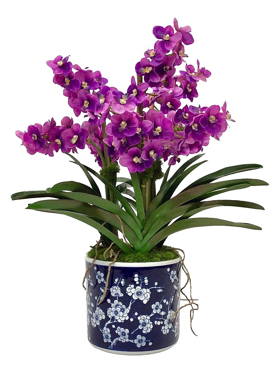 Everyday Newness Refresh Faux-Vanda Orchid Arrangement - Lavender Purple