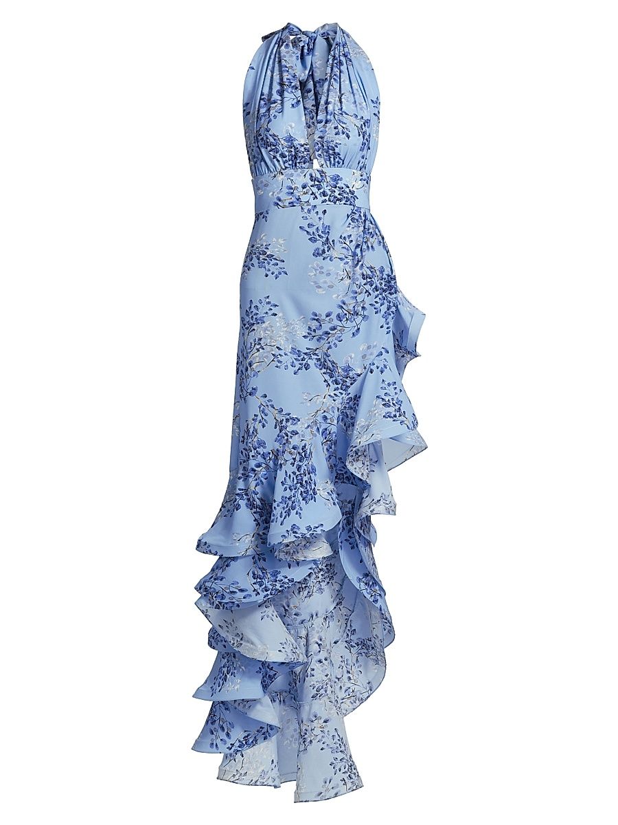 Women's Bronte Poppy Maxi Dress - Blue Multi - Size XL