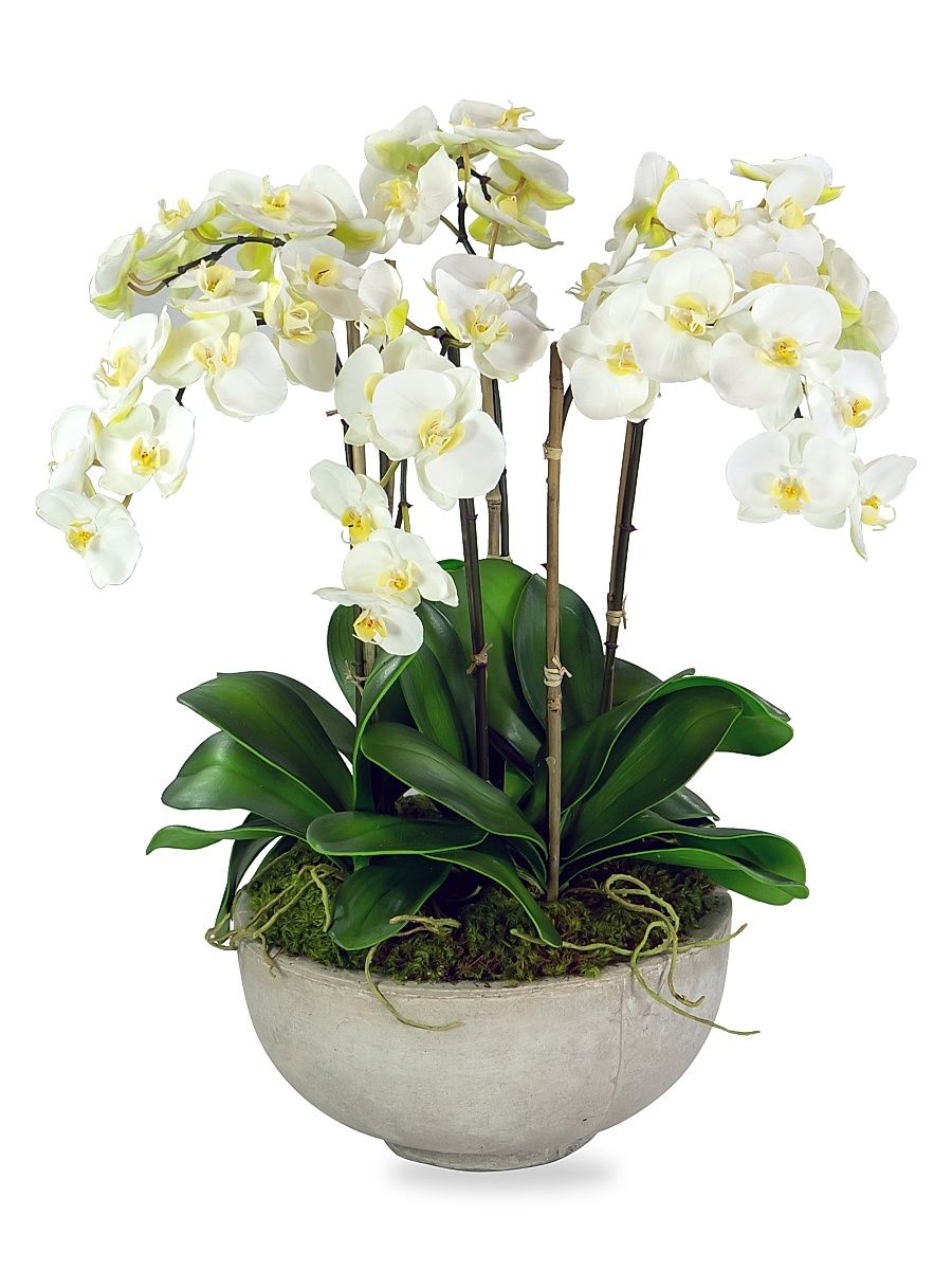 Everyday Floral Imitation Orchids In Bowl