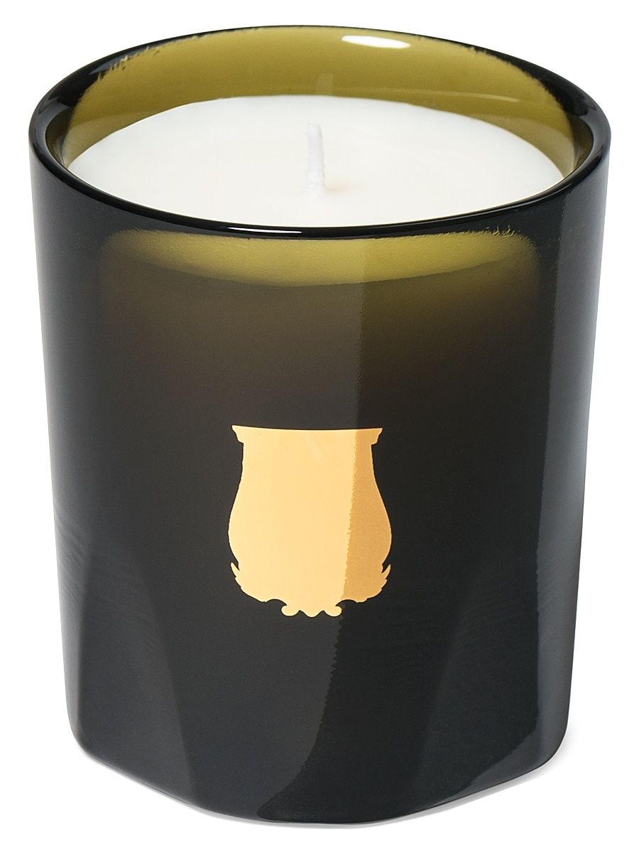 Trudon Gabriel Gourmand Chimney Fire