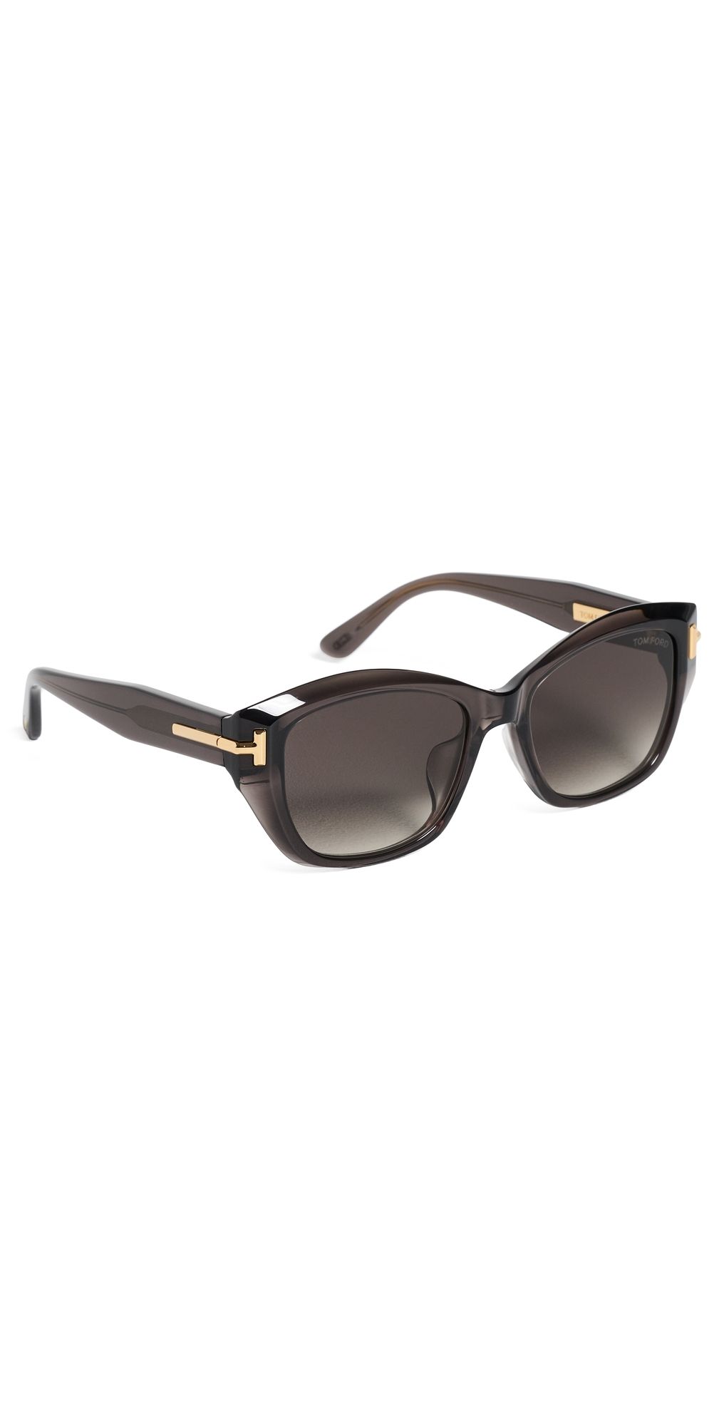 Tom Ford Icon Square Sunglasses Shiny Transparent Dark Grey One Size