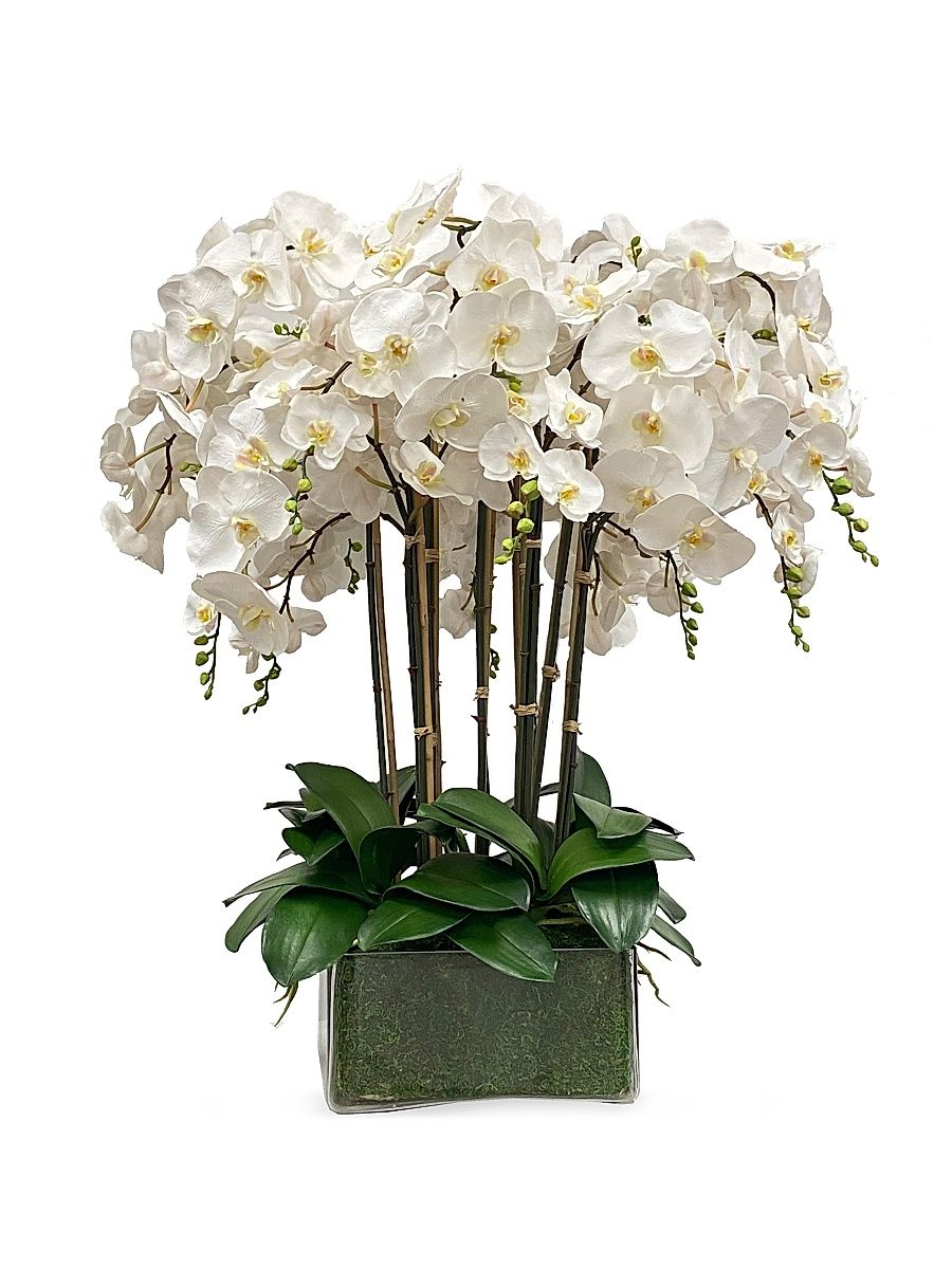 Everyday Floral Orchid Arrangement - White
