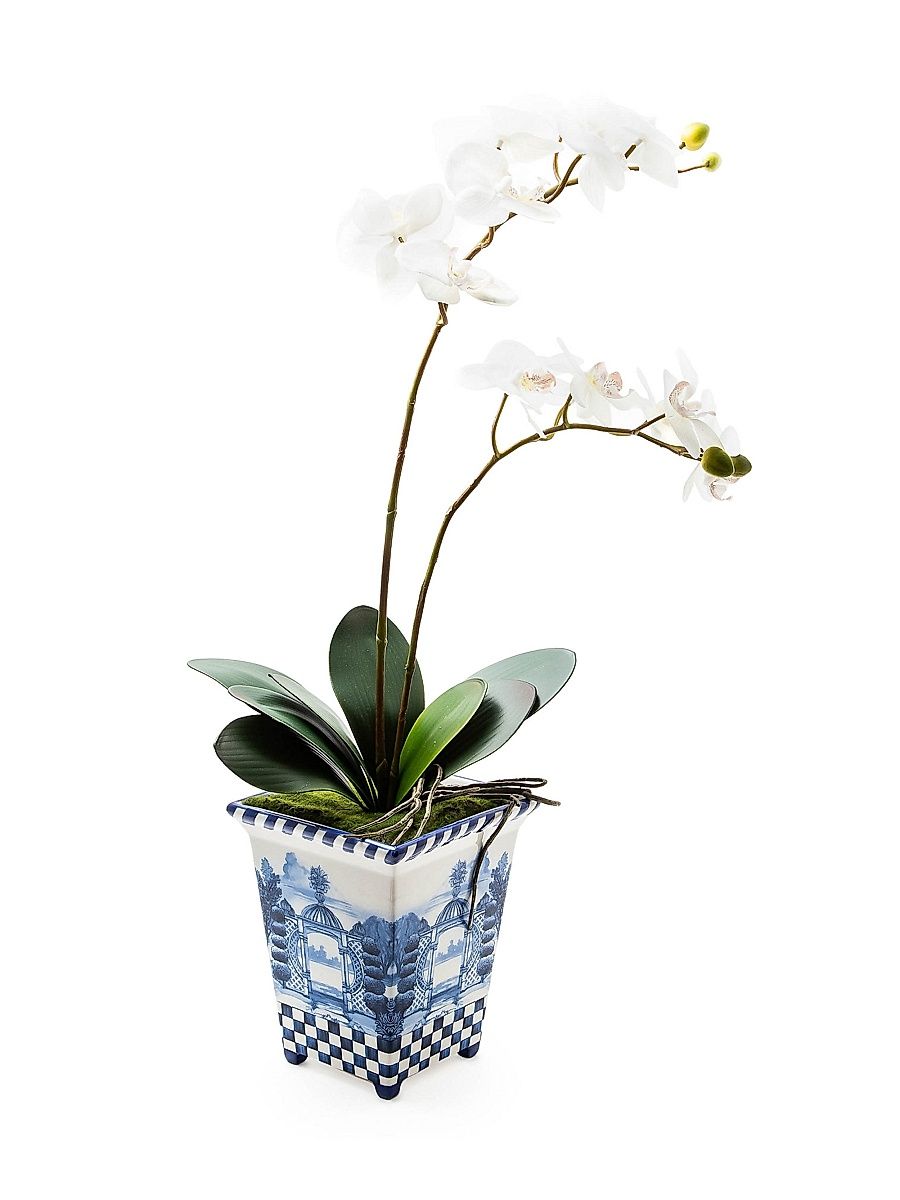 Royal Toile Large Potted Orchid